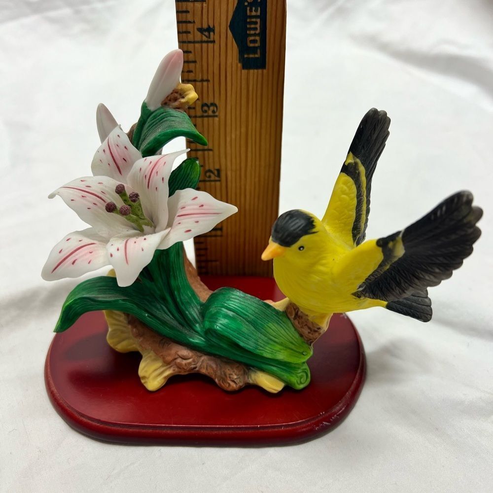 Bird collection - Picture 13 of 16